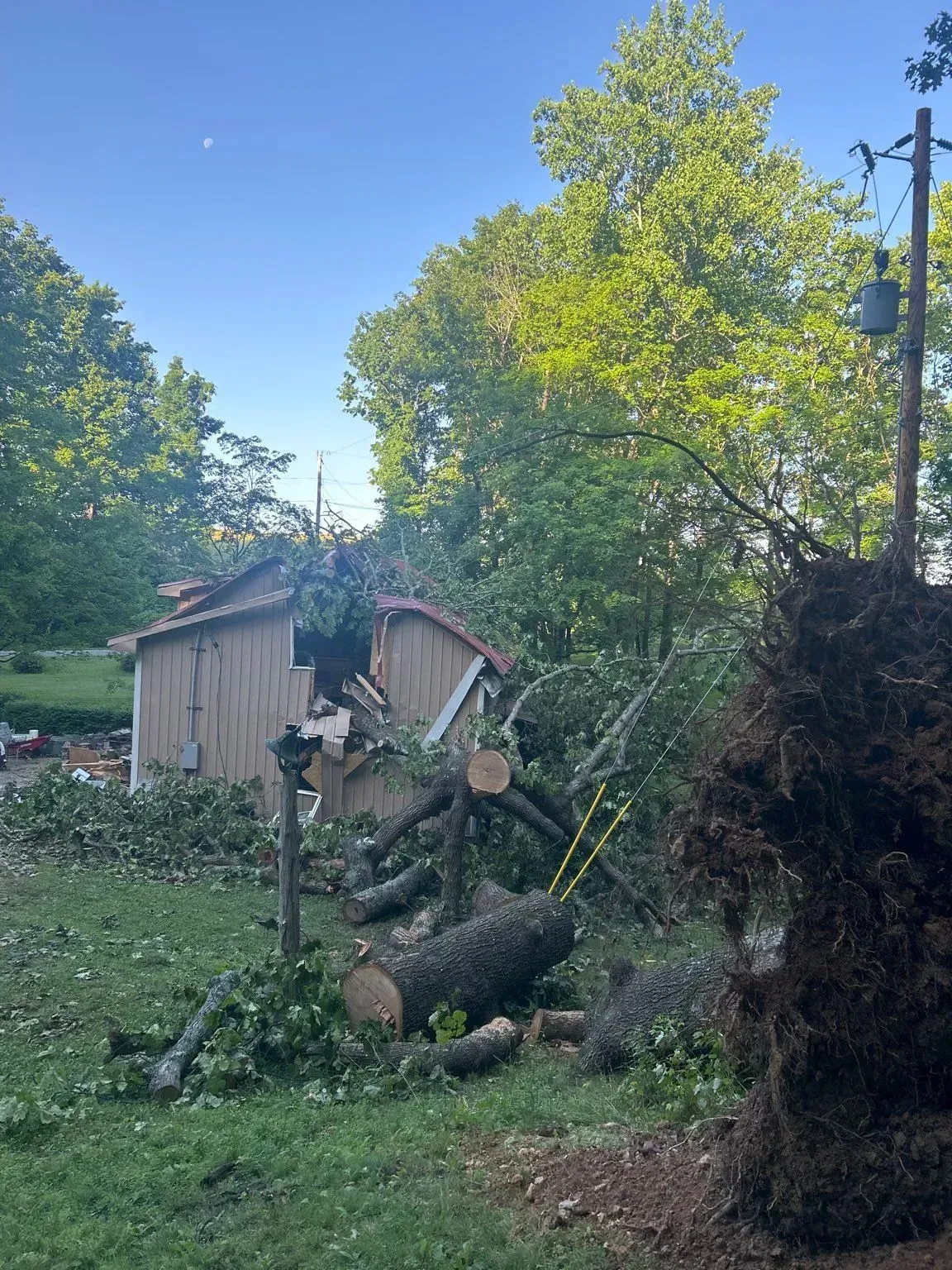 A fallen tree damages a shed near a power line on a sunny day.