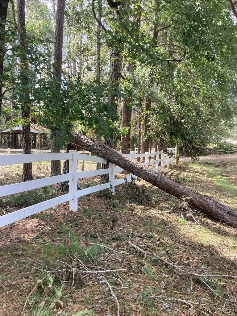 Fallen tree across a white picket fence in a wooded area.