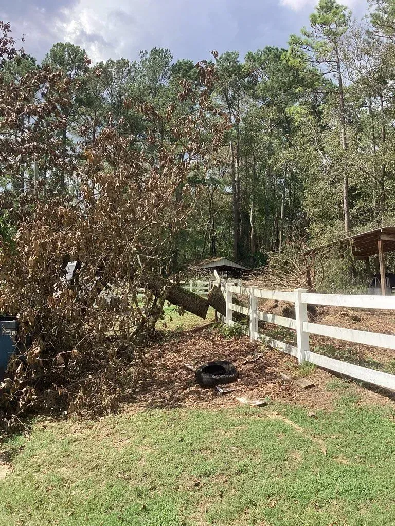 A tree felled over a white fence in a wooded area with a tire on the ground and a structure in the background.