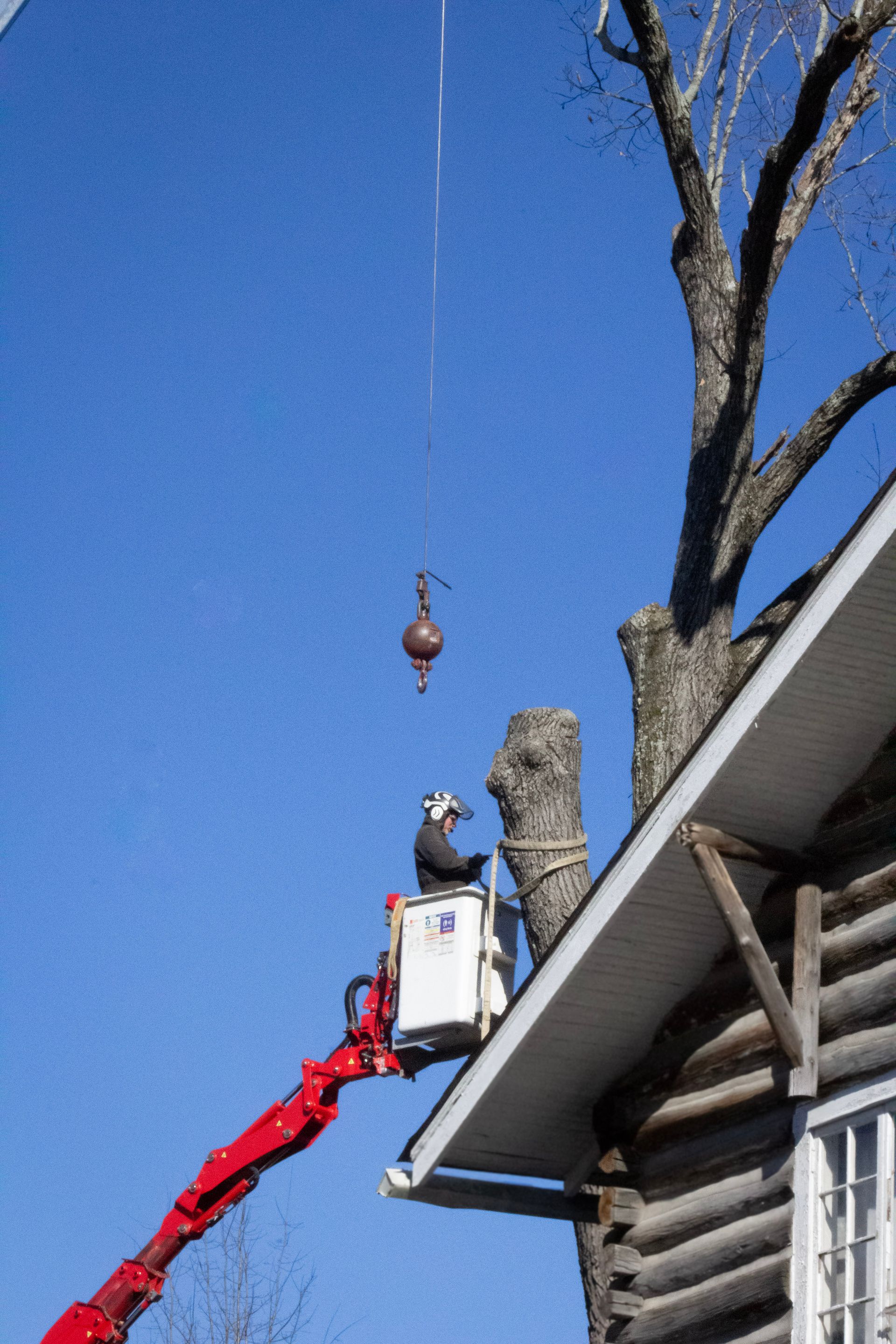 Man in a lift trims tree branches, while a weight hangs above the tree against a blue sky.