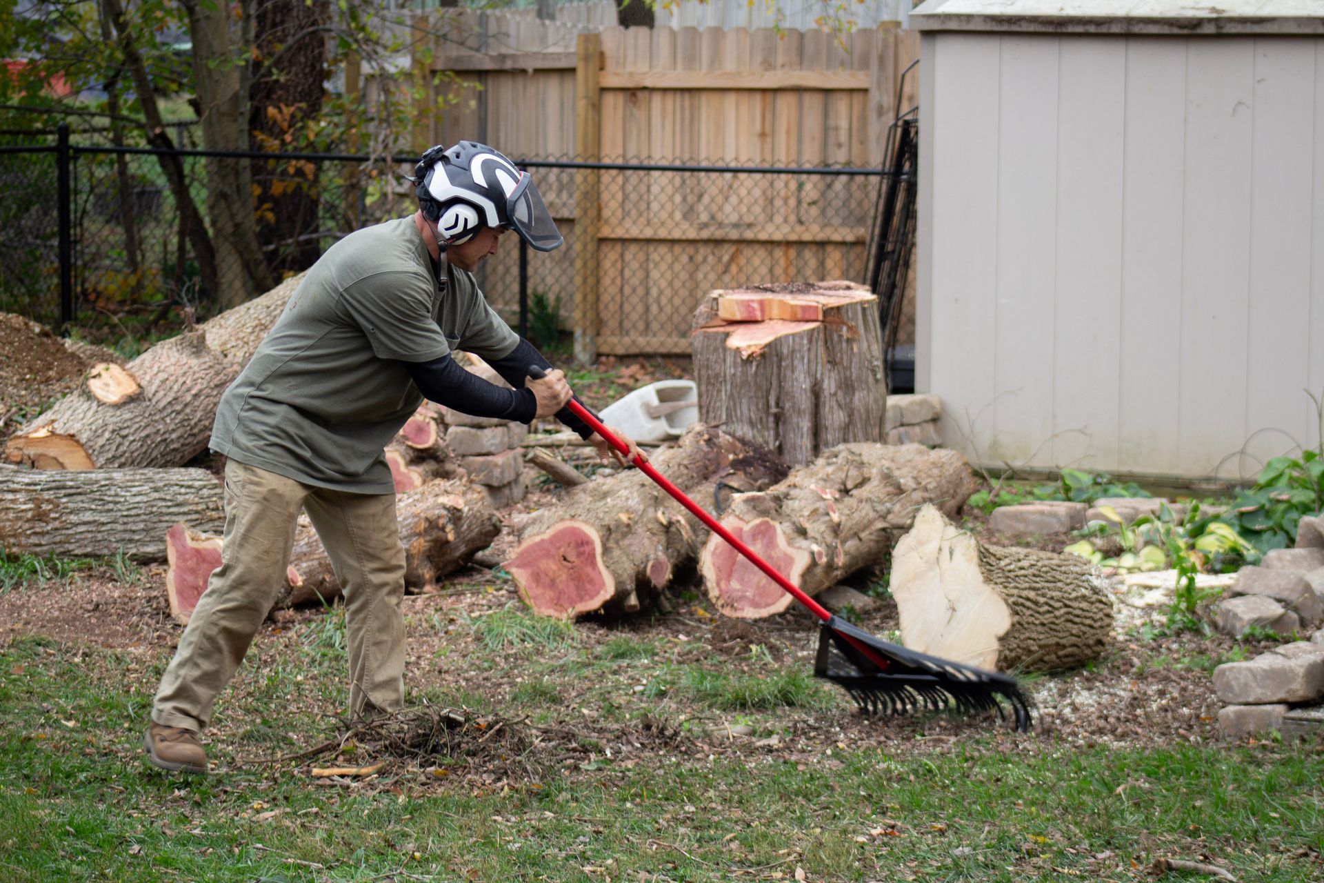Man raking wood debris after felling a tree, wearing a helmet. Backyard setting with cut logs and a shed.