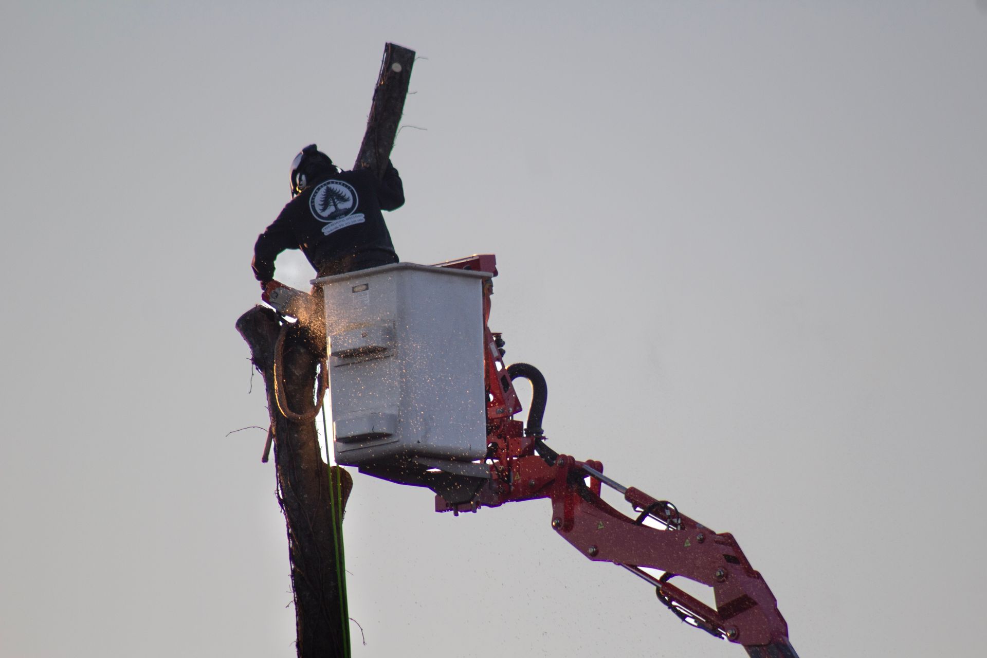 Arborist in a lift bucket cutting a tree branch with a chainsaw, sparks flying.