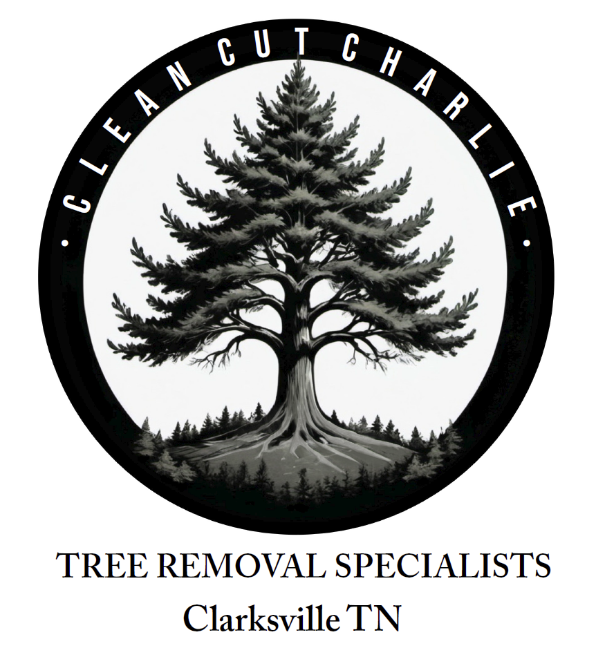 Clean Cut Charlie - logo