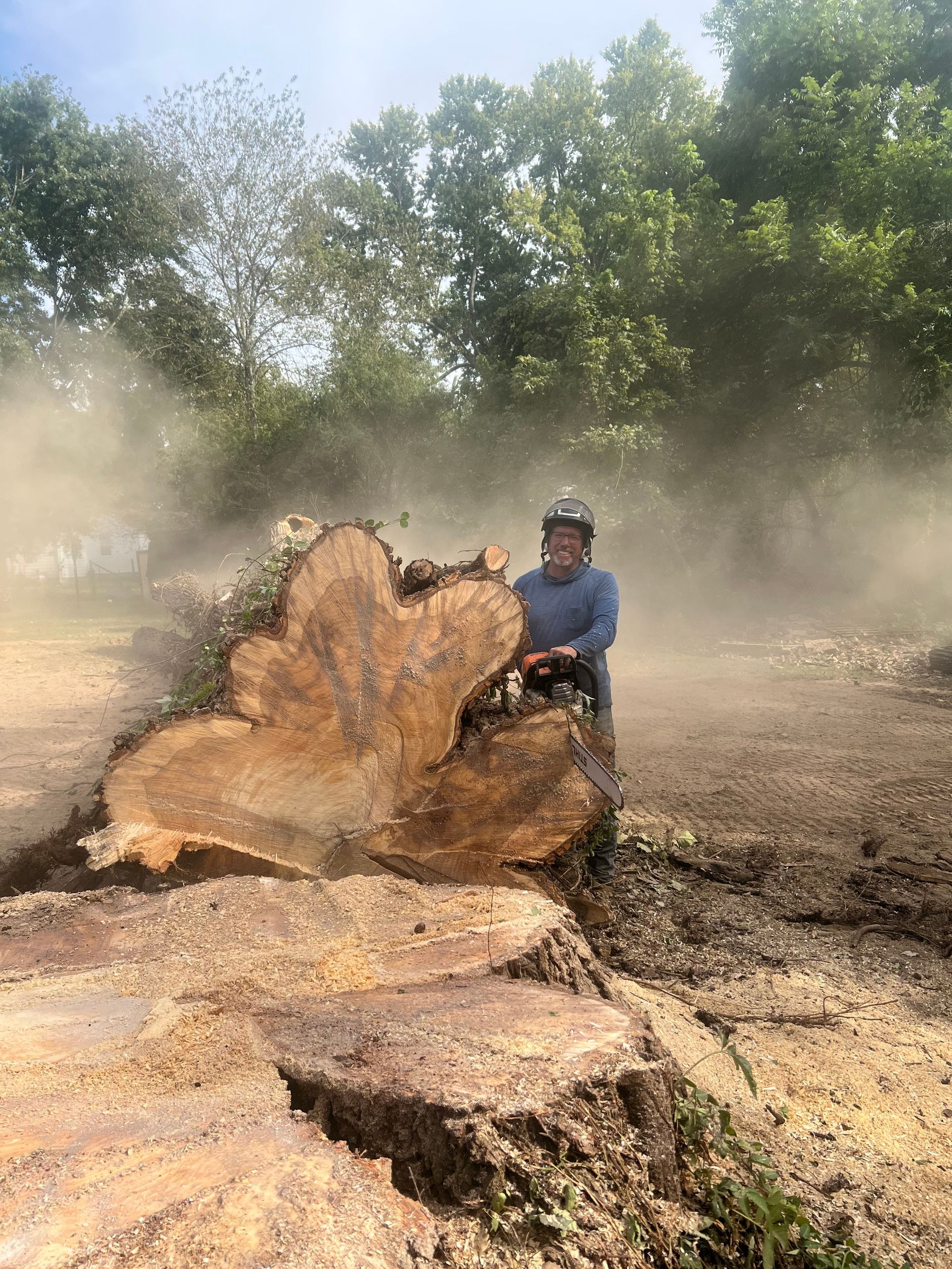 Person operating a chainsaw on a large tree stump, creating a cloud of dust outdoors.