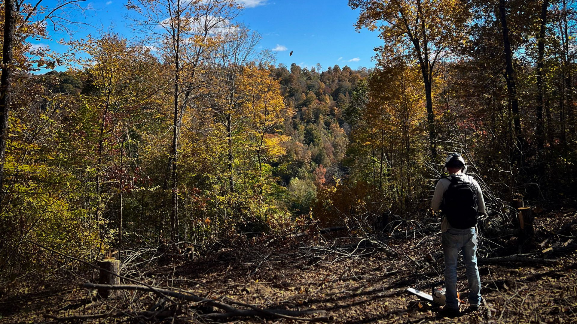 Person with a backpack standing at a forest edge, overlooking a valley filled with autumn foliage under a blue sky.