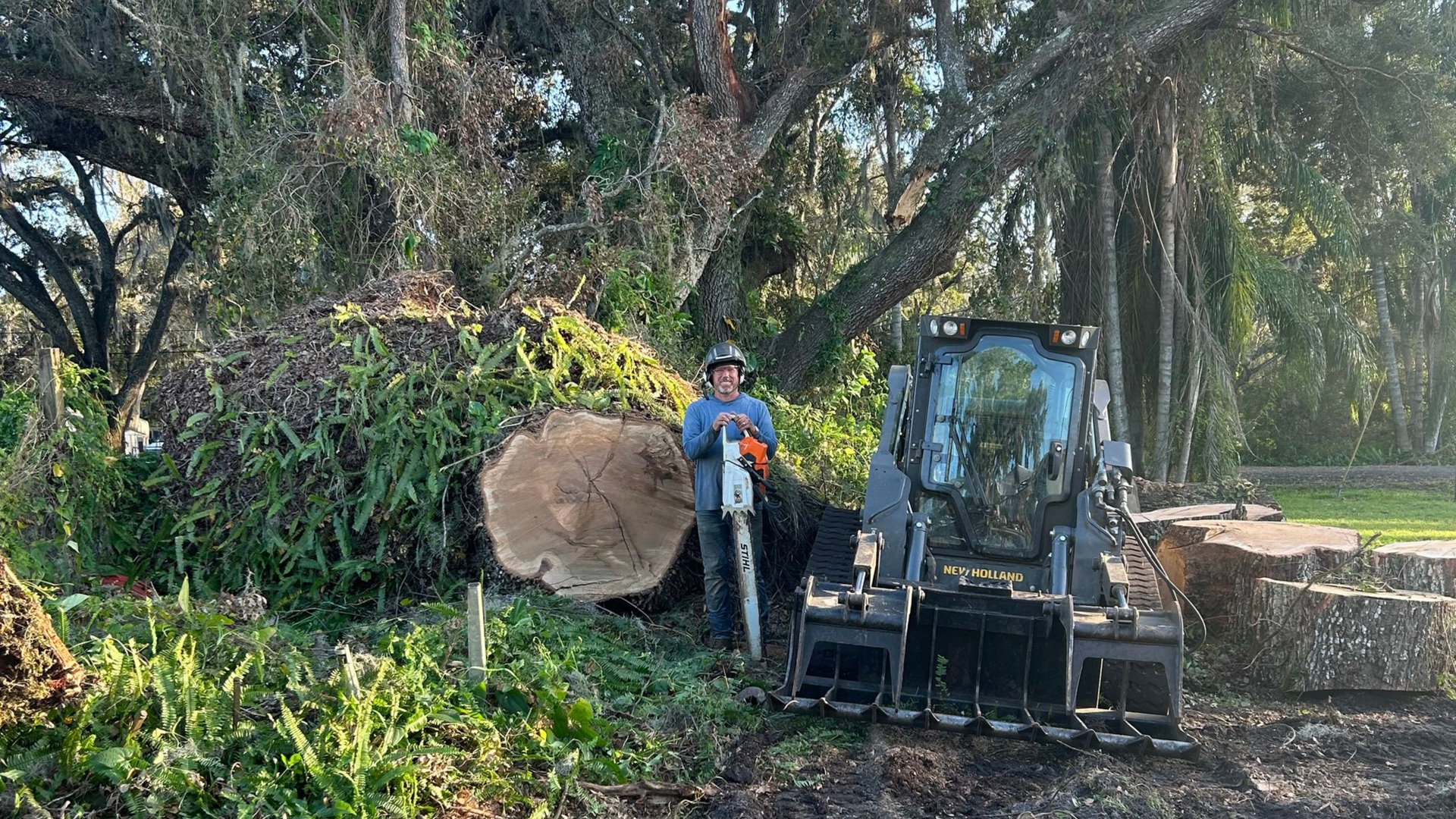 Man with chainsaw stands by a fallen tree trunk and a skid steer in a wooded area.