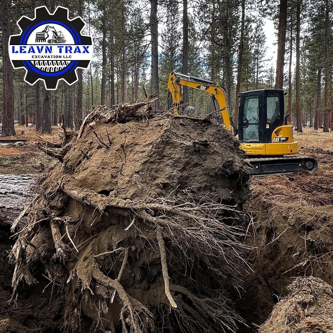 Yellow excavator clearing a large uprooted tree stump in a forest