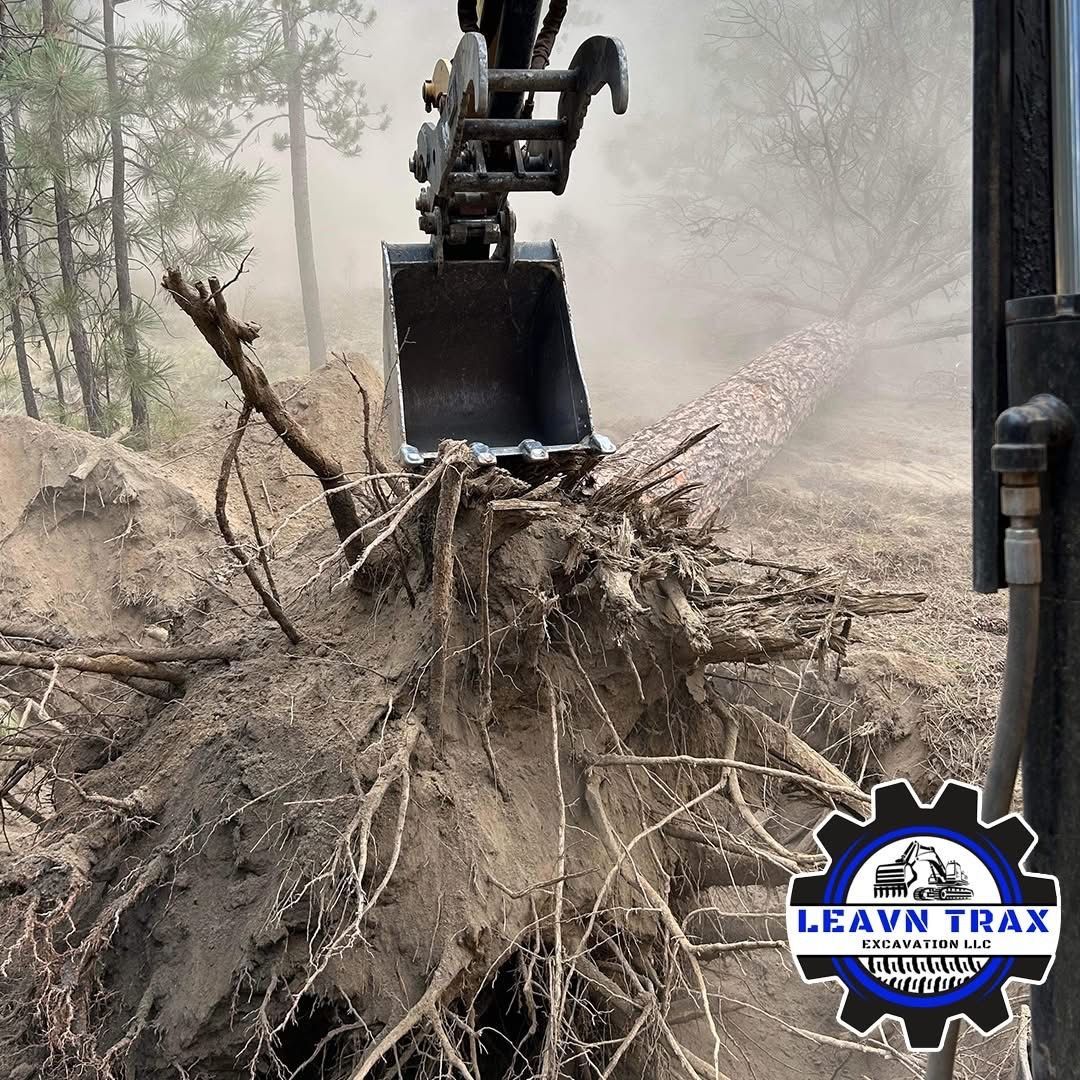 Excavator bucket lifting a large root ball and dirt in a dusty wooded area