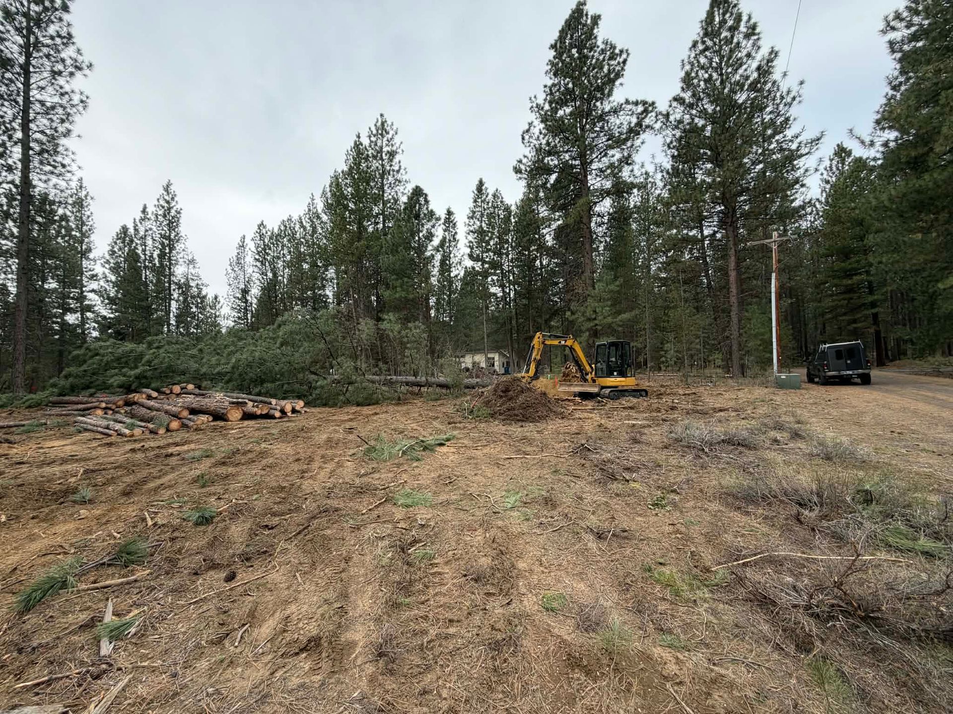 Cleared forest lot with stacked logs, an excavator, and a truck among tall pine trees