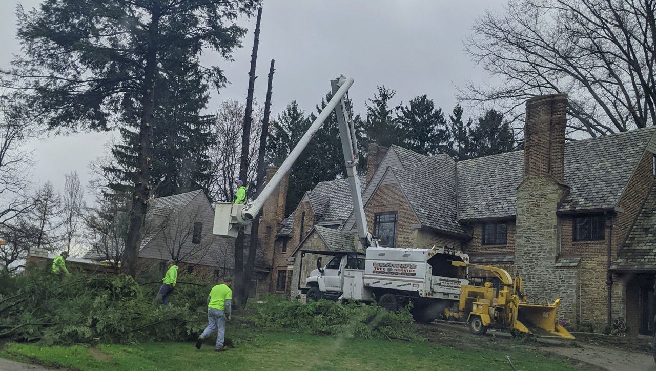 A group of people are cutting trees in front of a house.