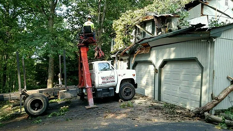 Storm damage clean up