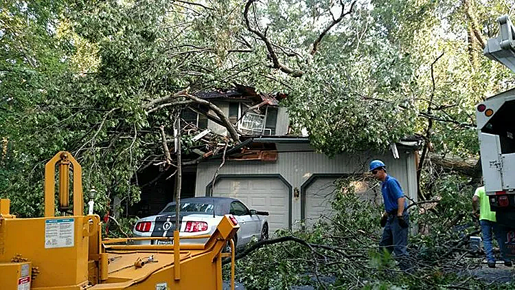 Storm damage clean up