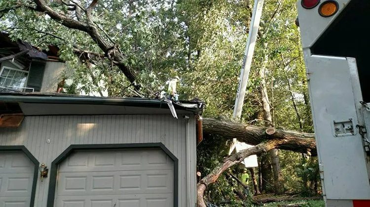 Storm damage clean up
