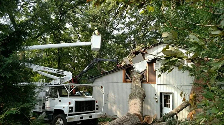 Storm damage clean up