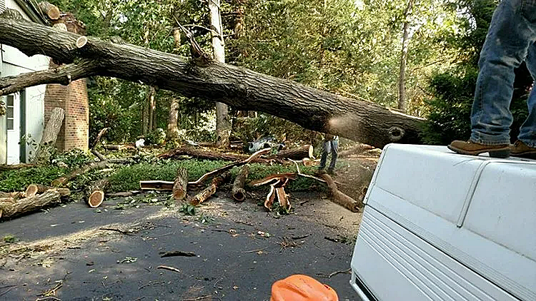 Storm damage clean up