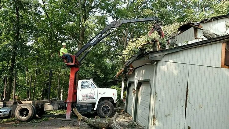 Storm damage clean up