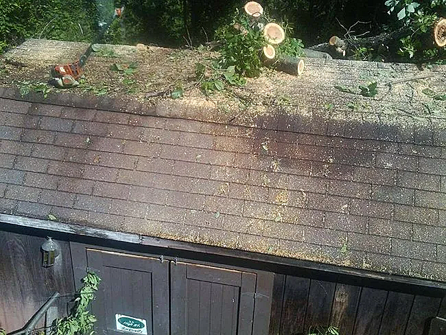 Storm damage clean up