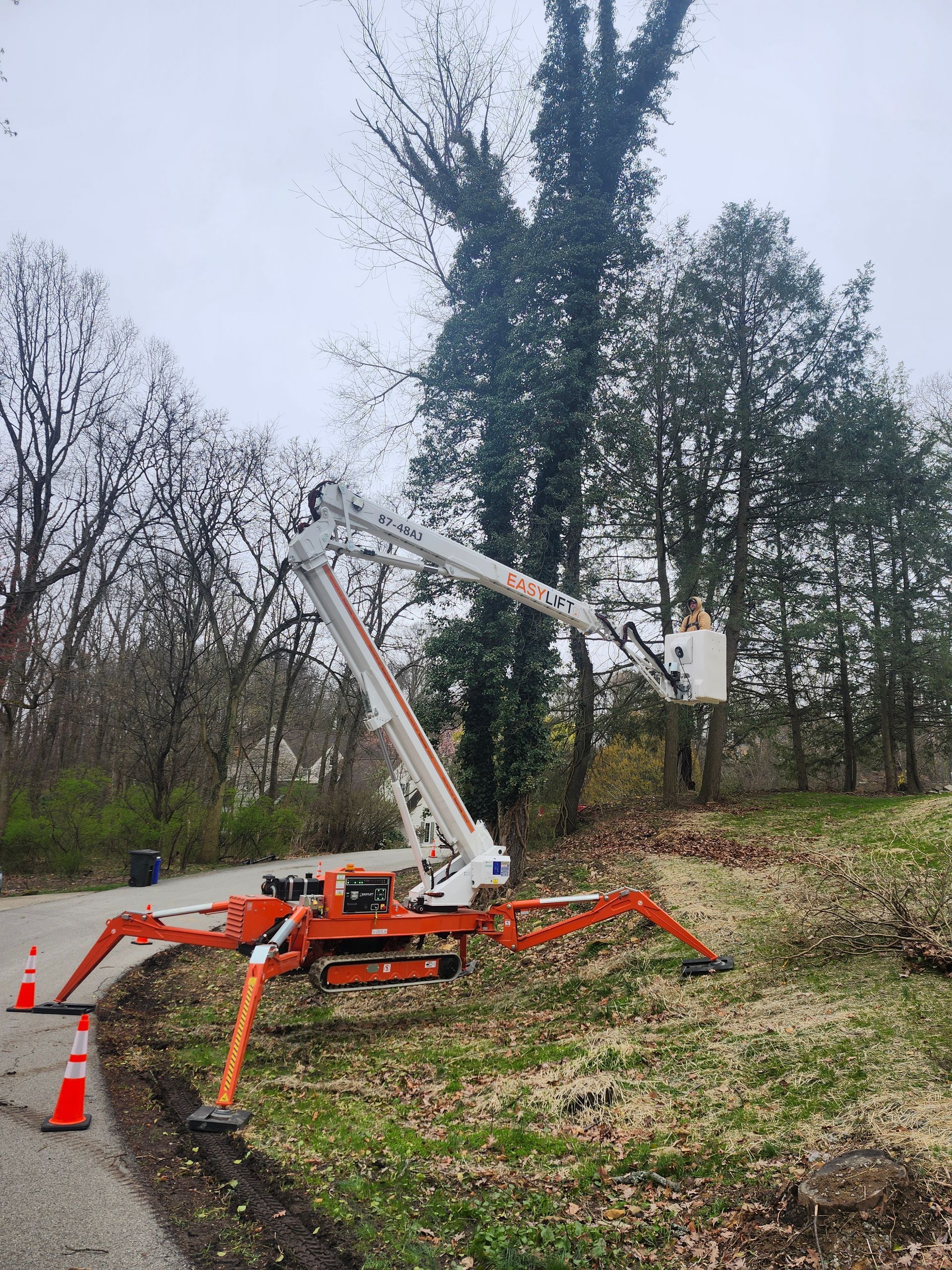 A crane is sitting on the side of a road next to a tree.