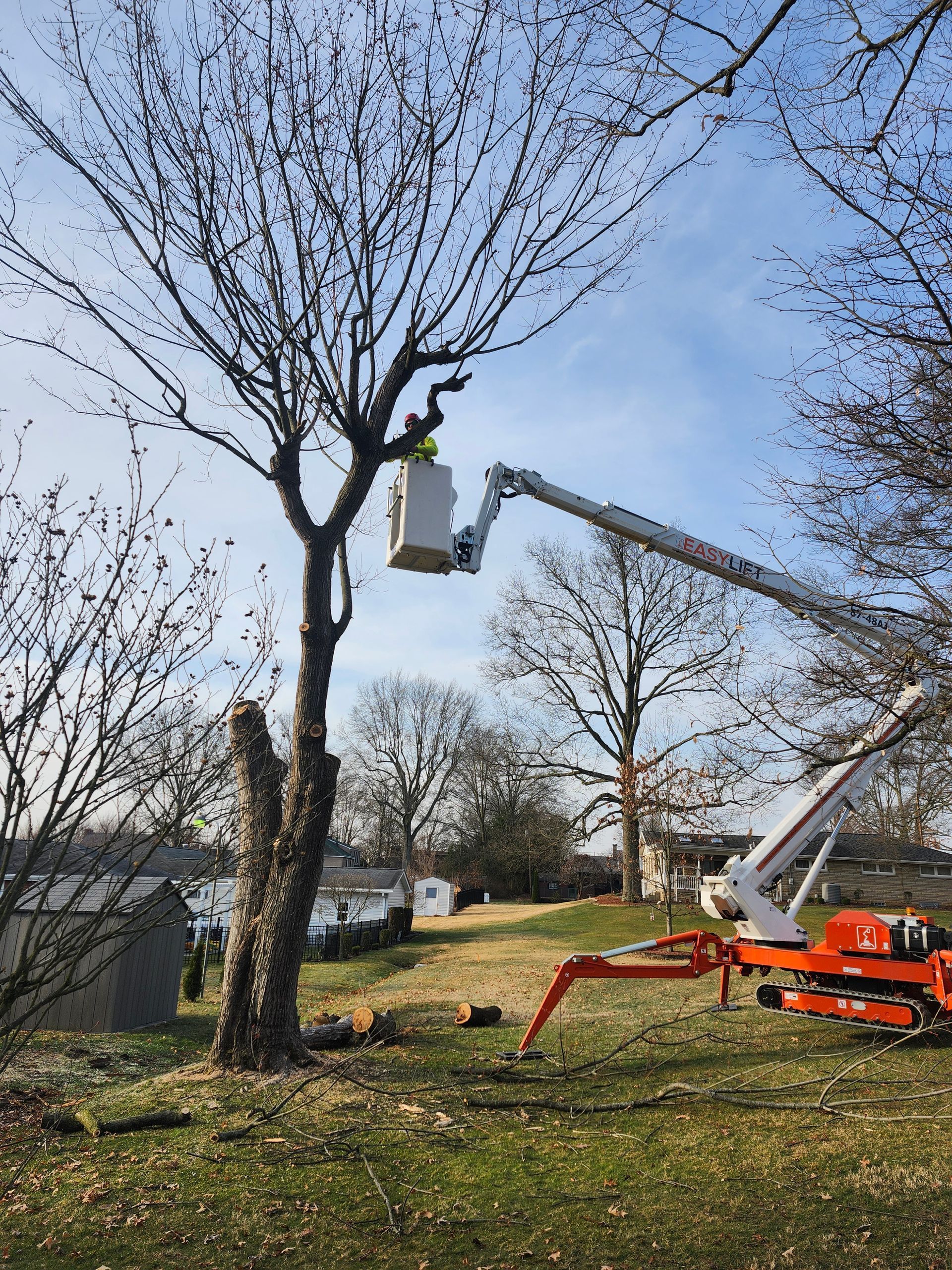 A man is cutting a tree with a crane.