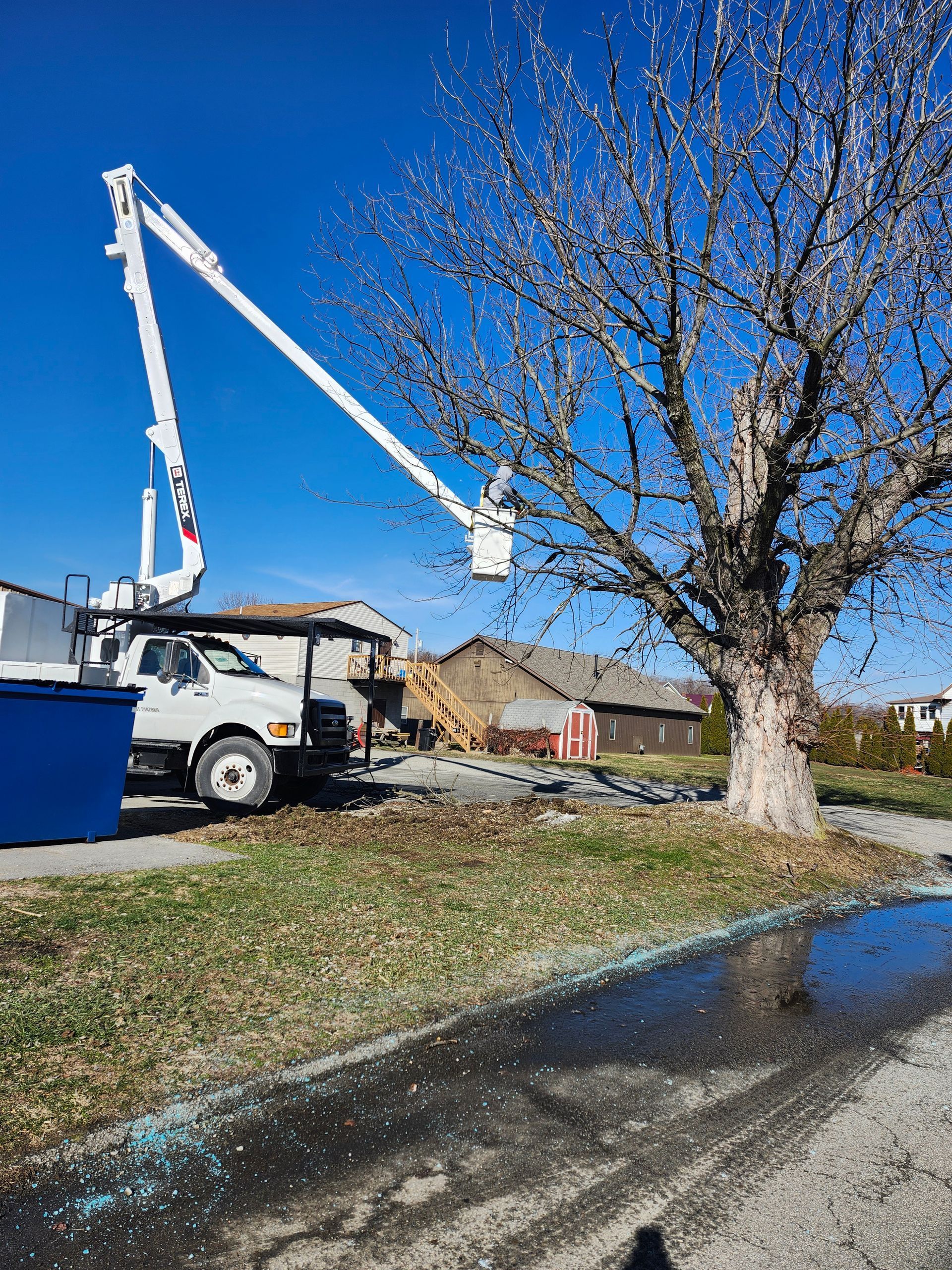 A white truck with a crane attached to it is cutting a tree.