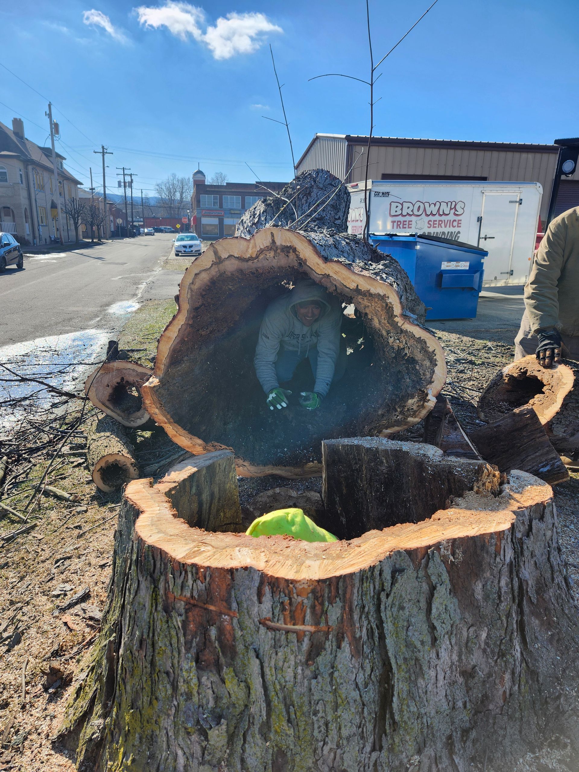 A person is sitting inside a tree stump.