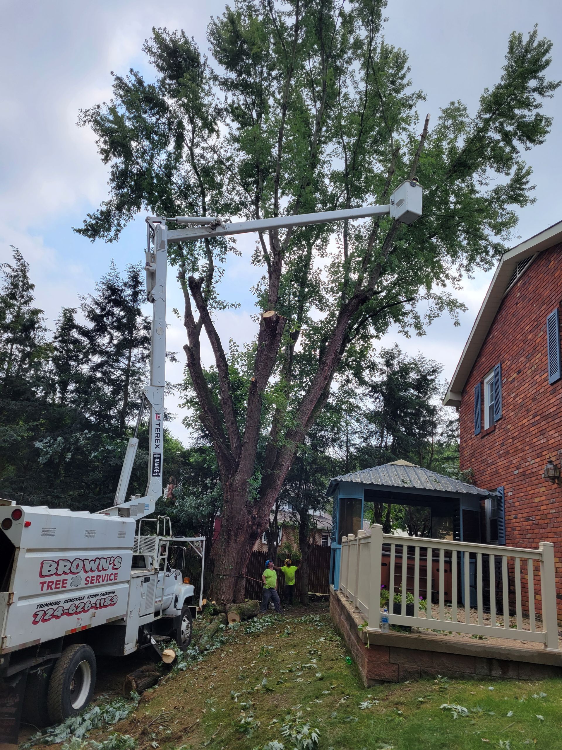 A white truck is cutting a tree in front of a brick house.