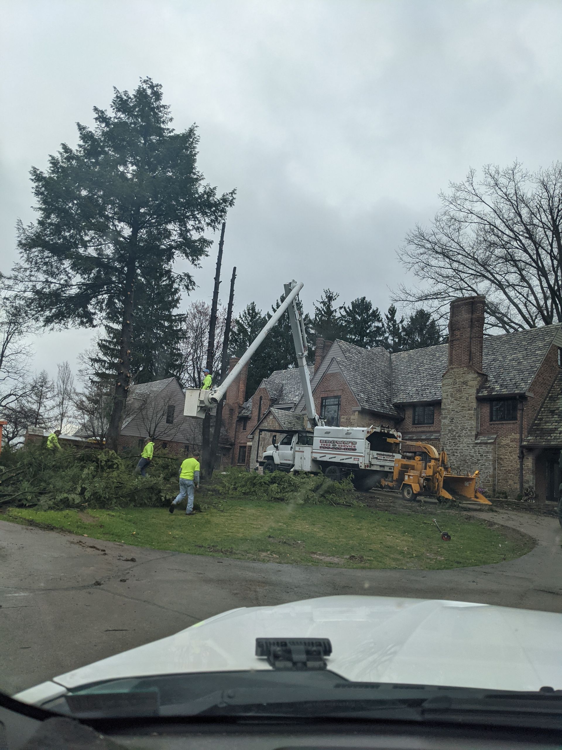 A crane is cutting a tree in front of a house.
