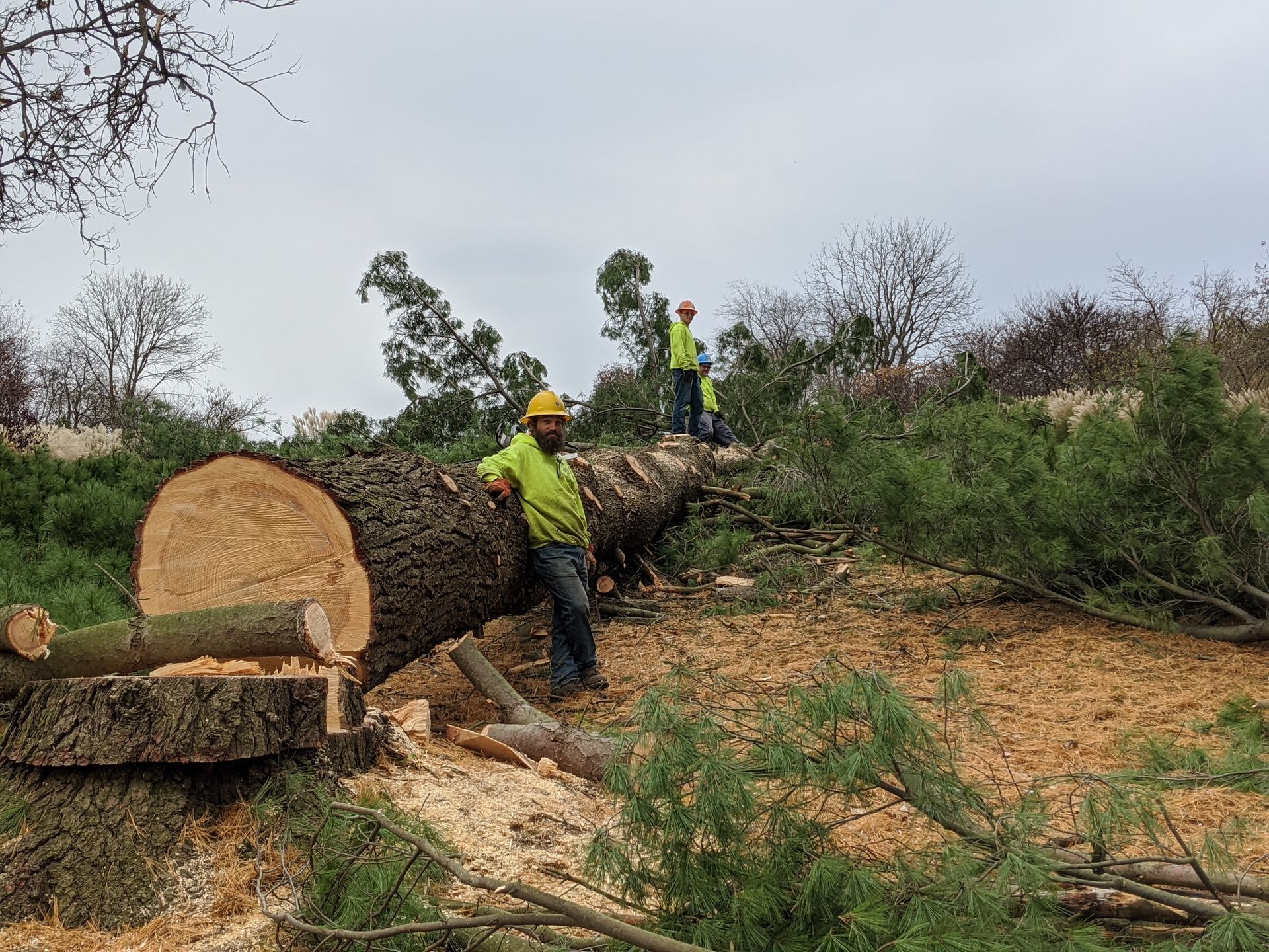 A man is standing next to a large log in a field.