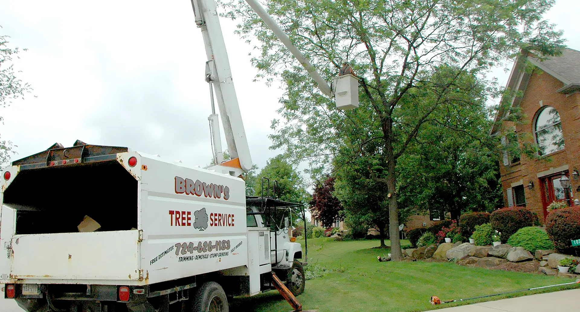 Brown's Tree And STUMP Service