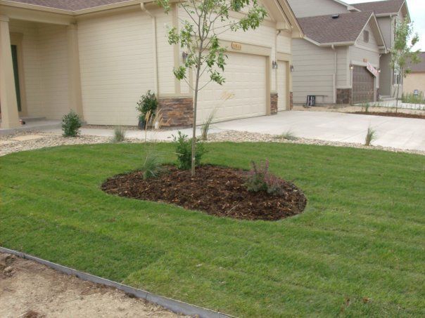 Front yard with green grass and a small tree in a mulch bed, next to a beige house with a garage.