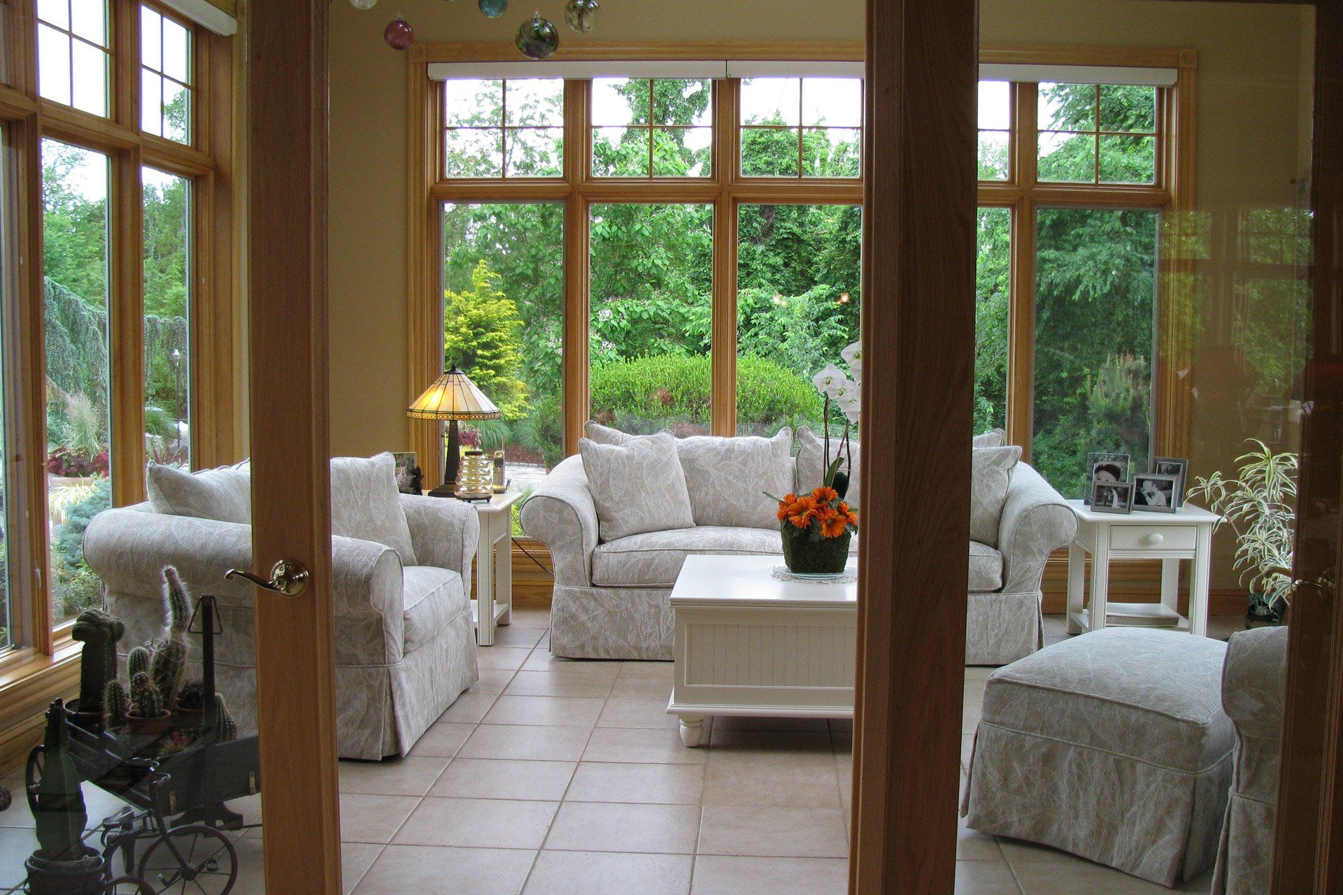 Cat and dog in a residential house