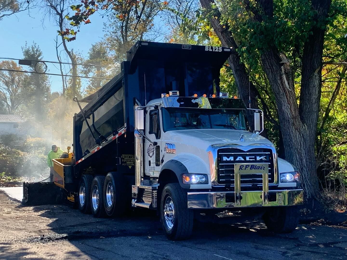 A dump truck is driving down a road next to a tree.