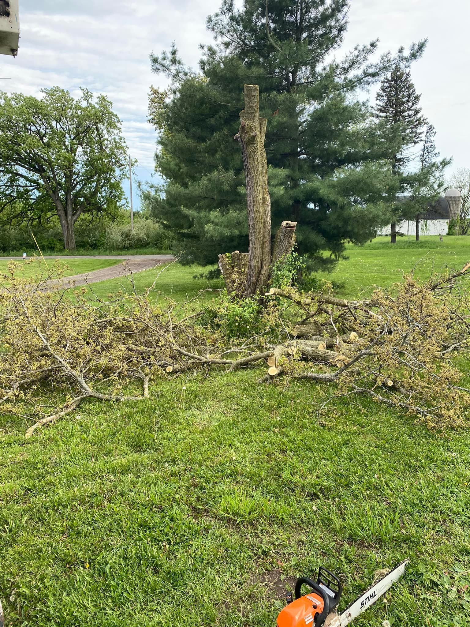 A chainsaw is sitting in the grass next to a tree stump.