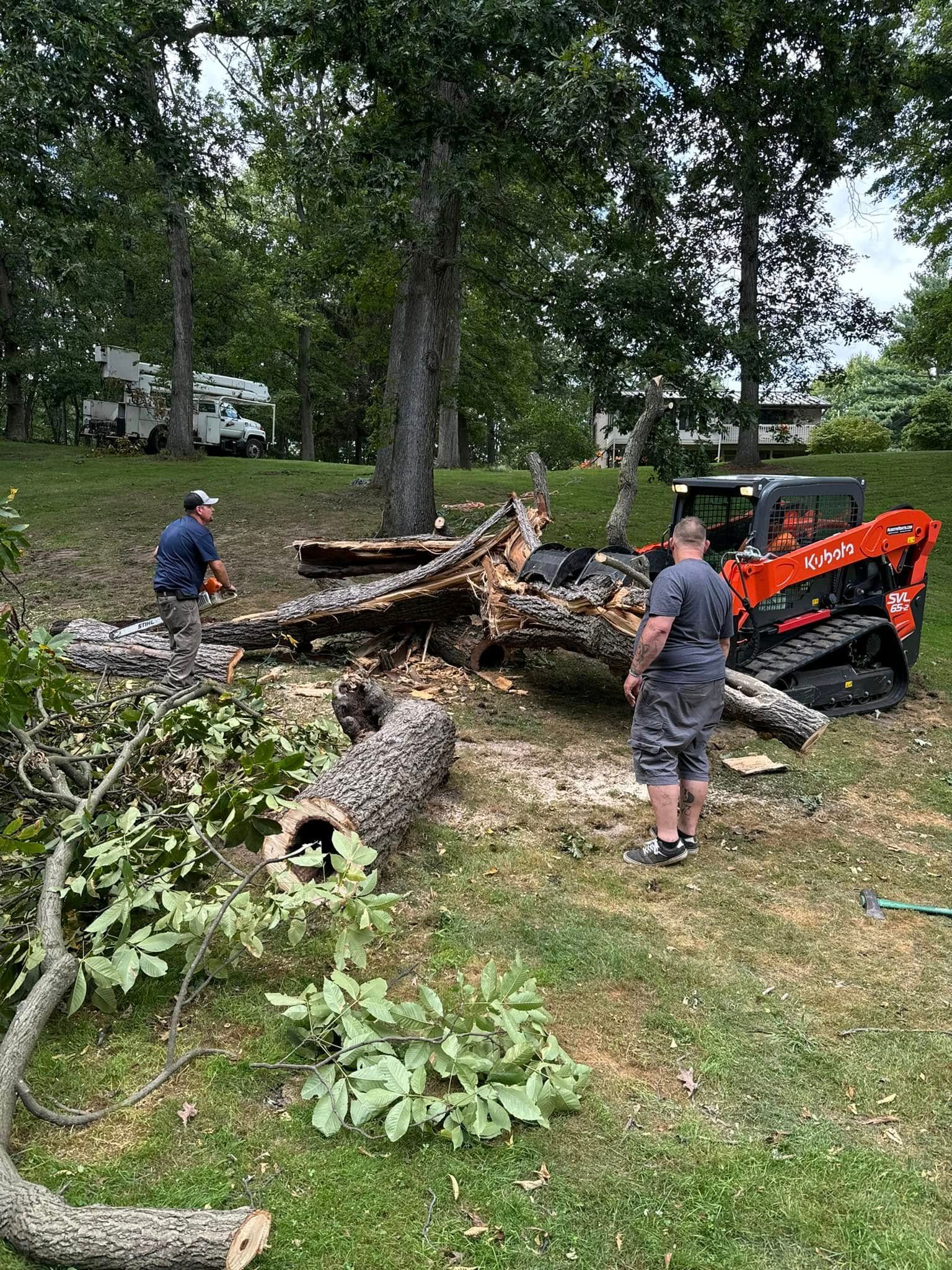 A man is standing next to a tree that has been cut down.