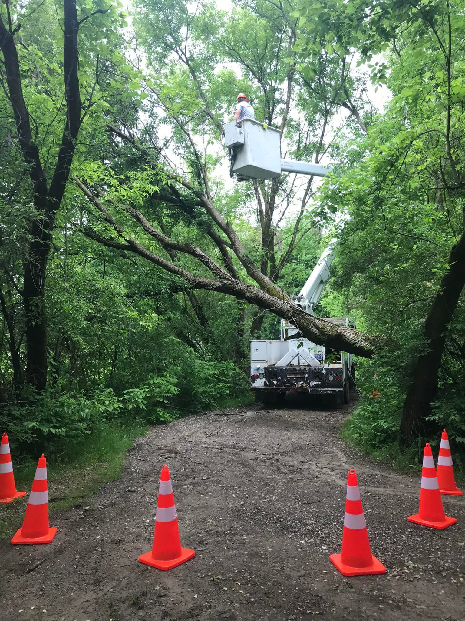 A man in a bucket truck is cutting a tree in the woods.