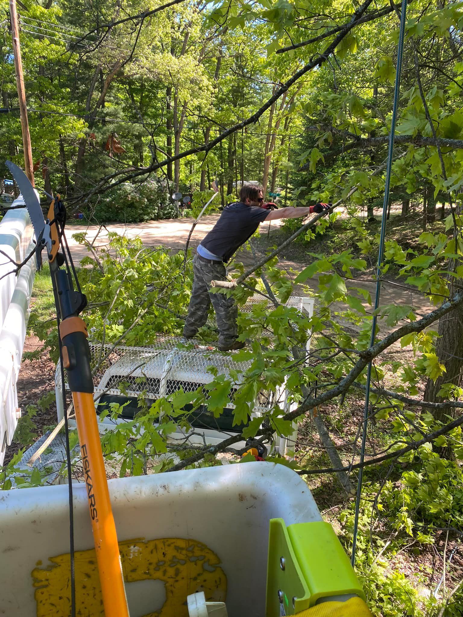 A man is cutting a tree branch with a saw in the woods.