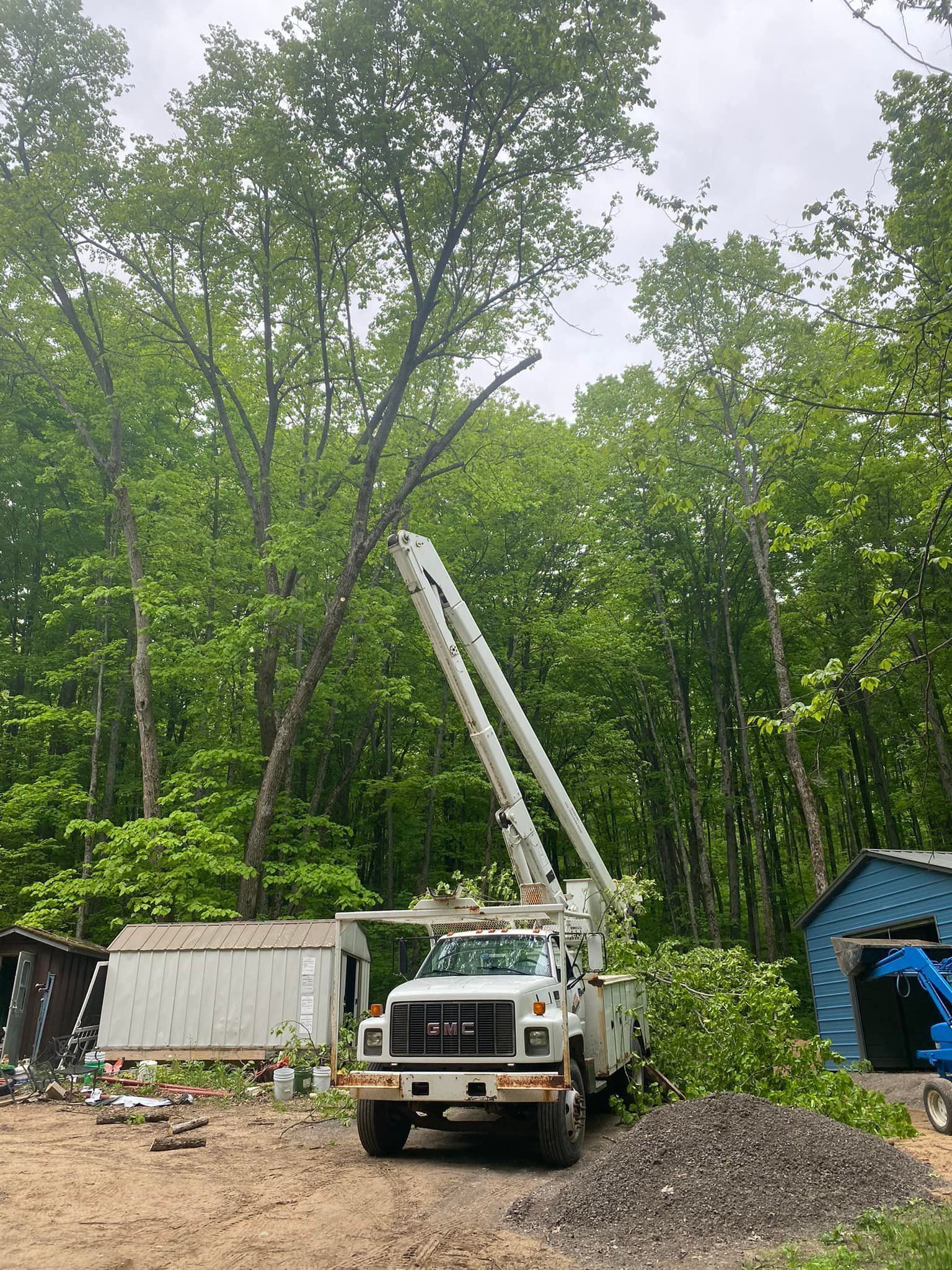 A truck with a crane on top of it is cutting a tree in the woods.
