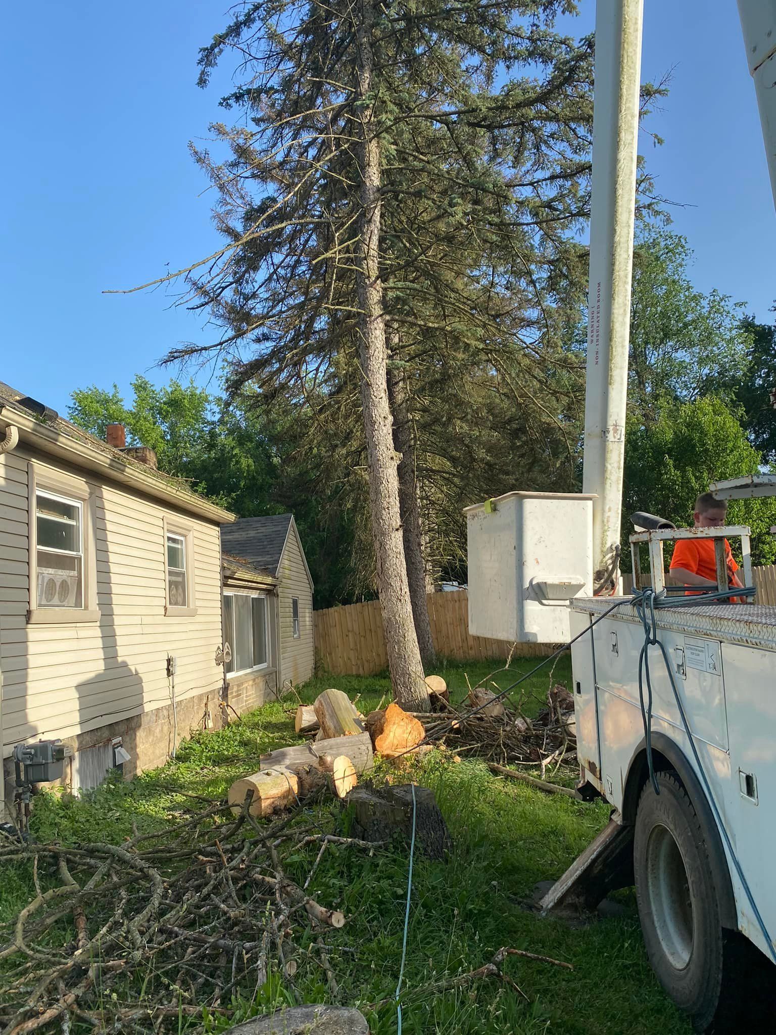 A white truck is parked in front of a house next to a tree.