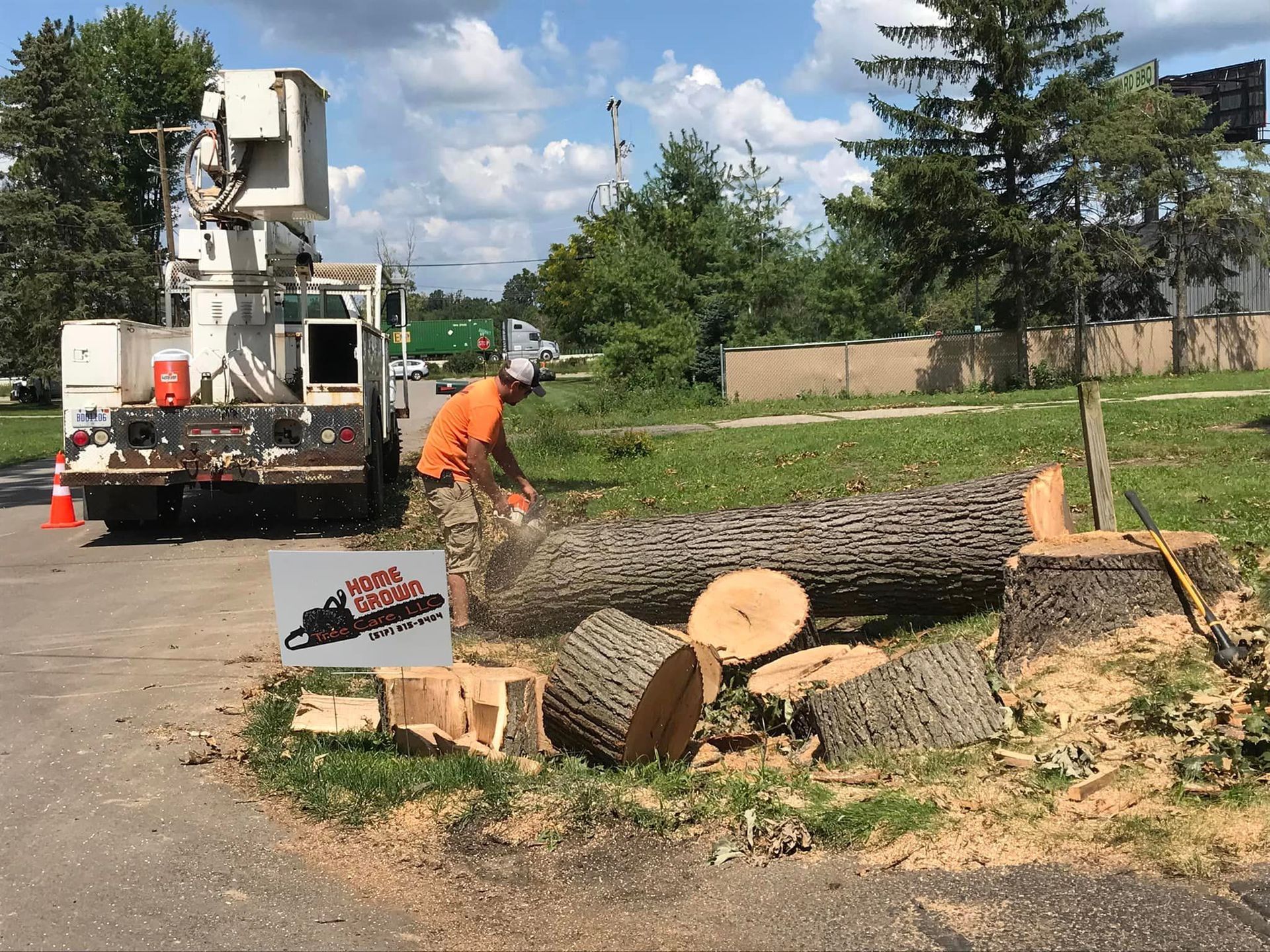 A man is cutting down a tree with a chainsaw.