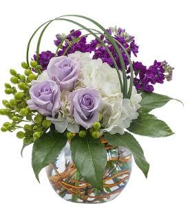 a vase filled with purple and white flowers on a white background