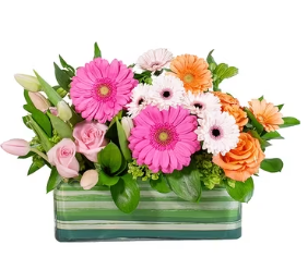 a vase filled with pink and orange flowers on a white background .