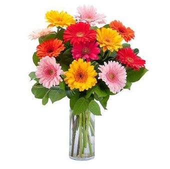 Grand Gerbera Summer Flower Arrangement