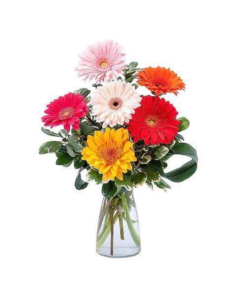 Colorful floral arrangement