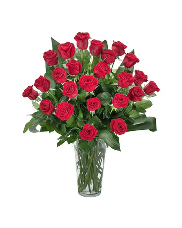 A vase filled with red roses and greenery on a white background.