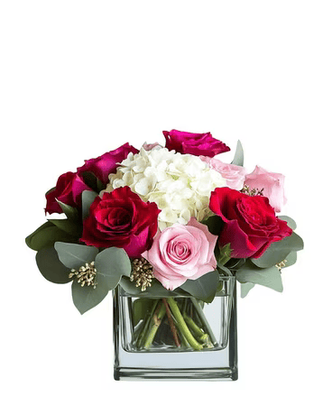 A vase filled with red and pink roses and a white hydrangea.