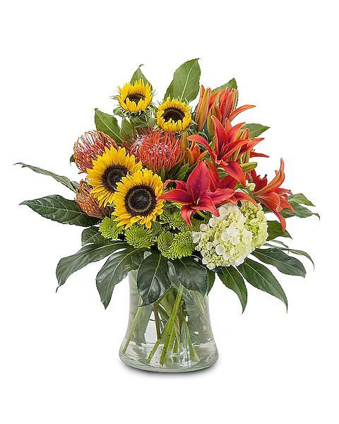 Vase of colorful flowers, including sunflowers, lilies, and protea; set against a white background.