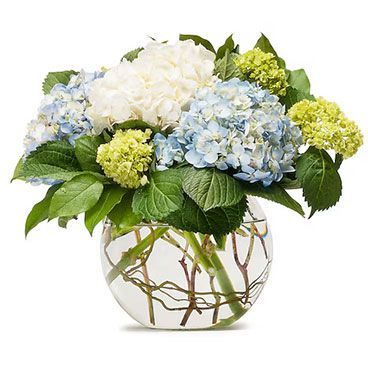 A floral arrangement of blue, white, and green hydrangeas in a clear glass bowl.