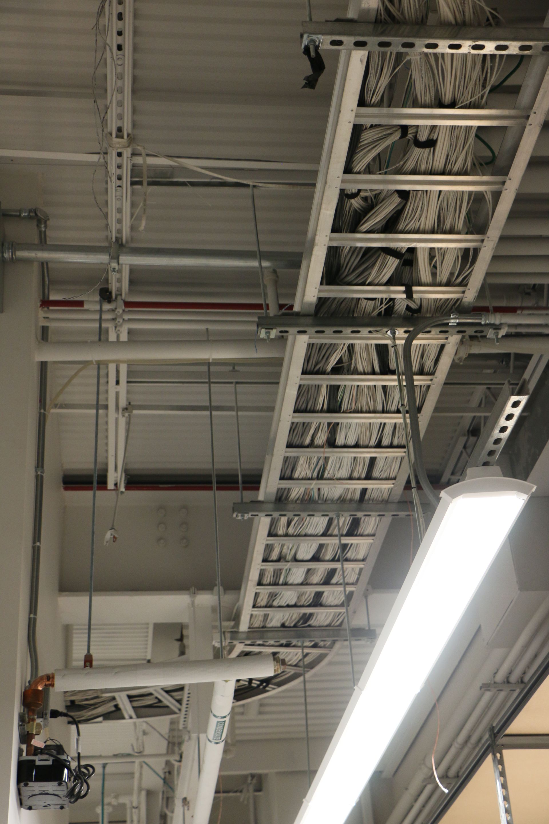 Cable trays suspended from a white ceiling, holding numerous bundled wires, with a large fluorescent light.