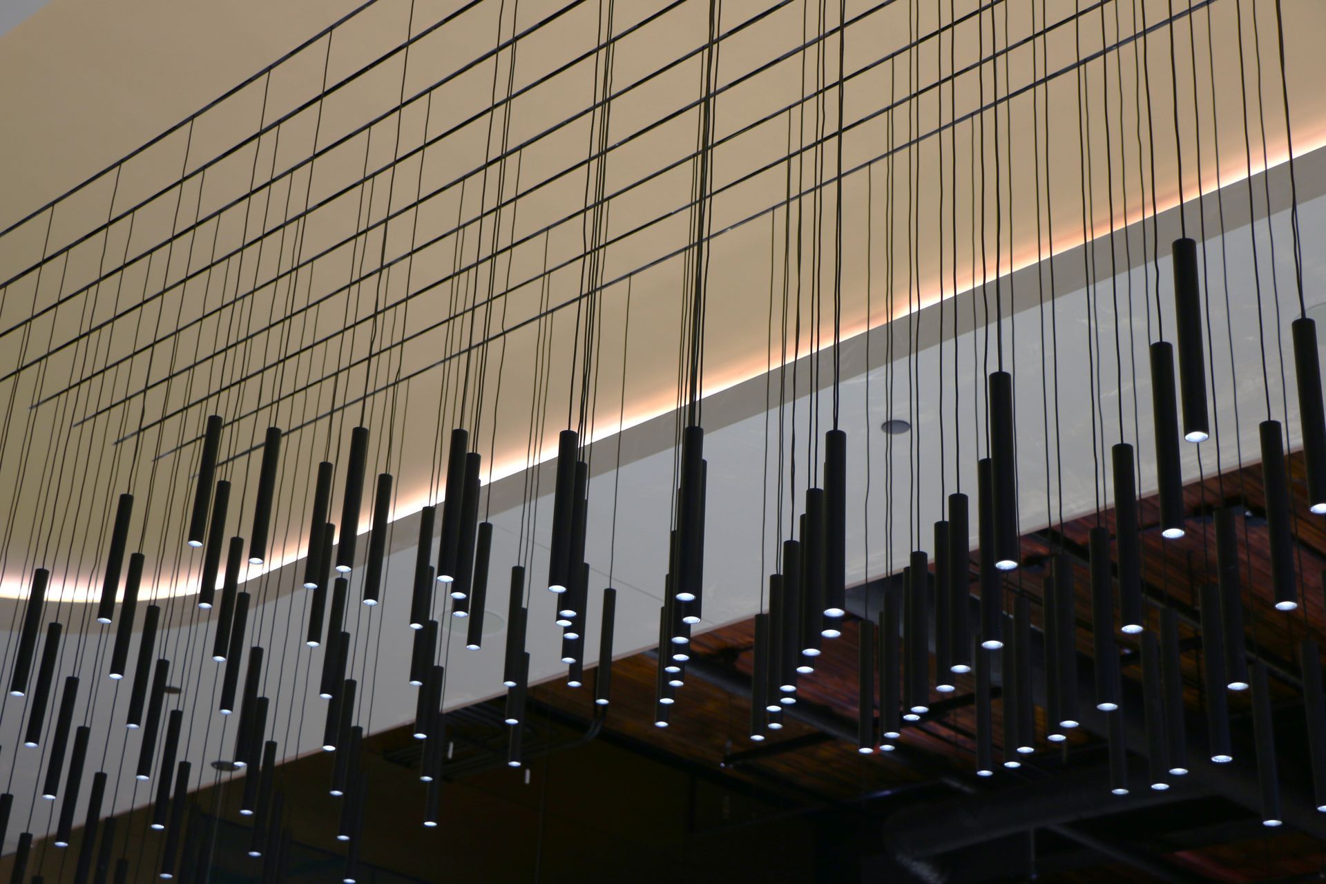 Black cylindrical lights hanging from the ceiling in a grid pattern; white ceiling and walls in the background.