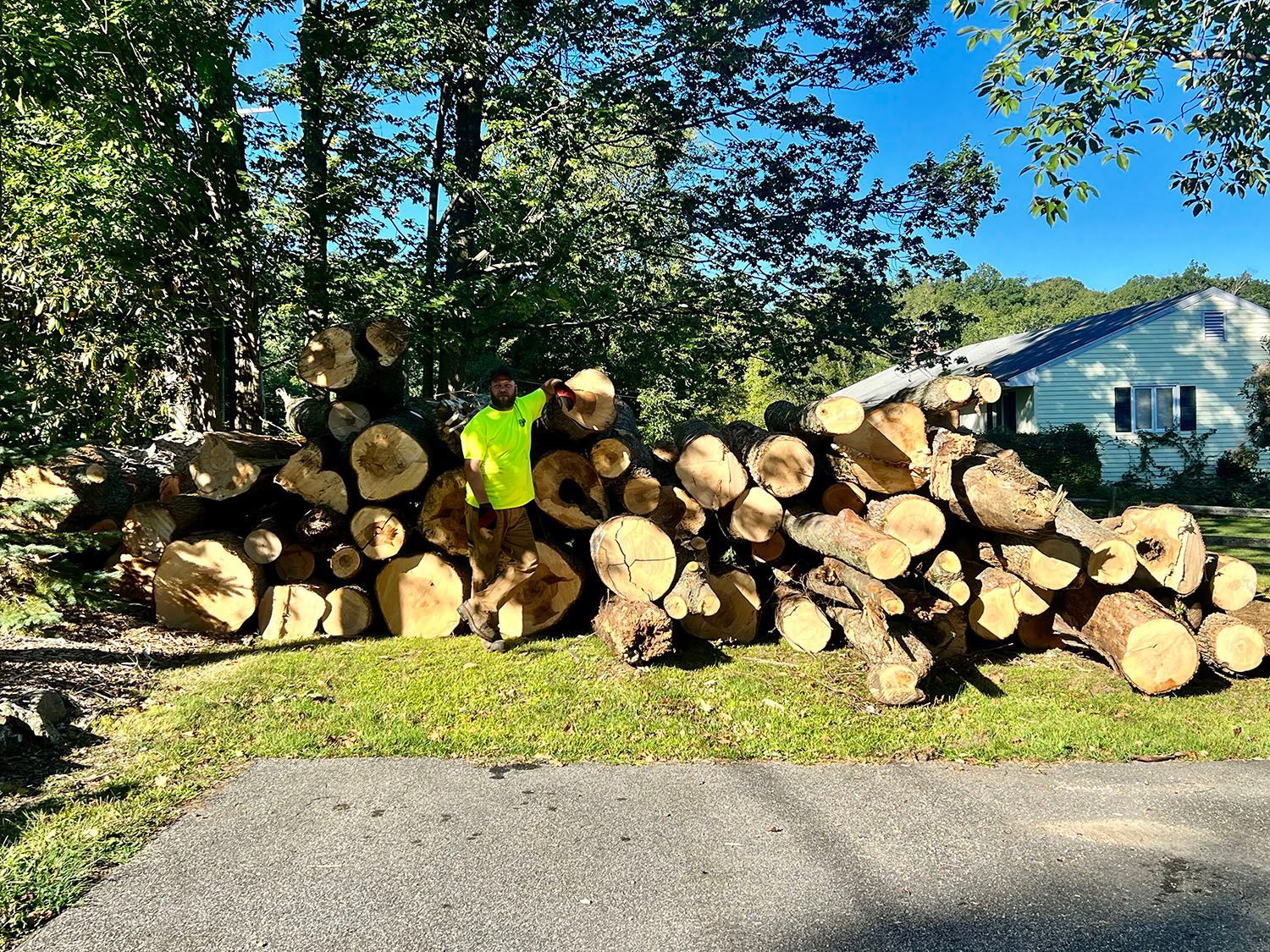 tree removal torrington ct